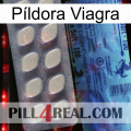 Píldora Viagra 34